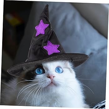 犬猫コスプレ　魔女帽子　ペットハット 魔女帽子 ペット キャップ パーティー Amazon | 猫用ウィッチハット,猫用ウィッチハット,ペットの魔女